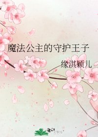 魔法公主的守护王子